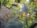 IMG_5168