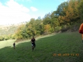 DUO-BOIS-JOLI-2015-050