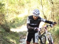 DUO-BOIS-JOLI-2015-111