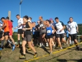 photo-006_9gr
