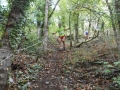 dbj-2013-105_8pb