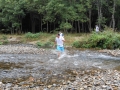 dbj-2013-198_2ws