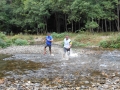 dbj-2013-204_t07
