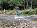 dbj-2013-207_c0g