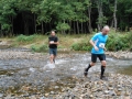 dbj-2013-209_xod