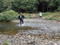 dbj-2013-211_rx1