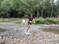 dbj-2013-217_g21