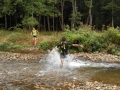 dbj-2013-230_zib