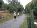 dbj-2013-36_kie