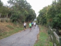 dbj-2013-38_fel